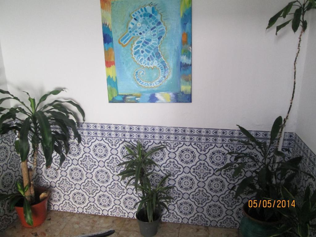 Guest House Pacifica Quarteira Exterior foto